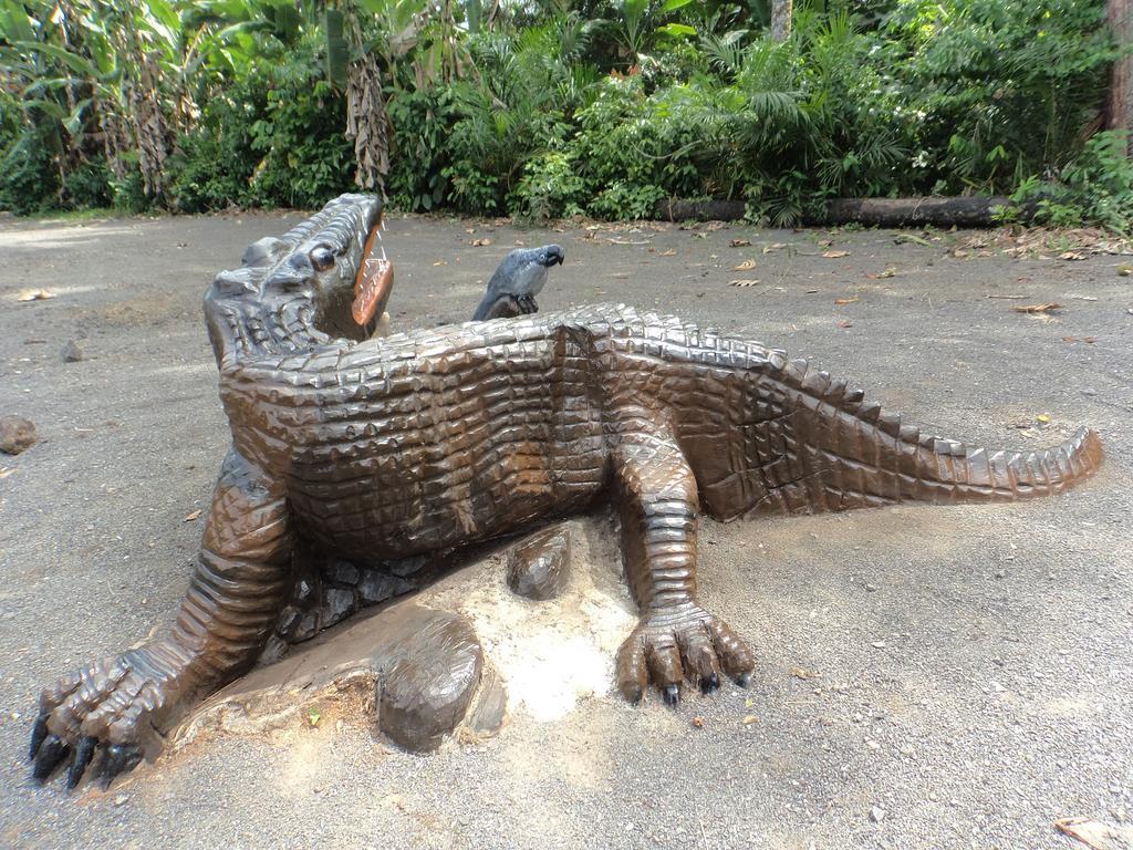 ホテル Jardim Botanico Me-Zochi サントメ エクステリア 写真